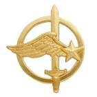 INSIGNE DE BERET MILITAIRE COMMANDOS DE L'AIR