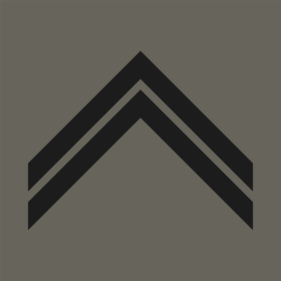 GRADE MILITAIRE SERGENT / MARECHAL DES LOGIS BASSE VISIBILITE