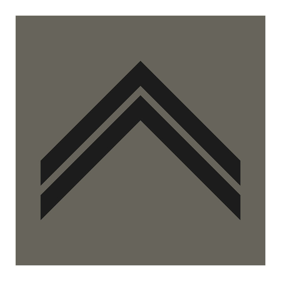 GRADE MILITAIRE SERGENT / MARECHAL DES LOGIS BASSE VISIBILITE GRADE MILITAIRE SERGENT / MARECHAL DES LOGIS BASSE VISIBILITE